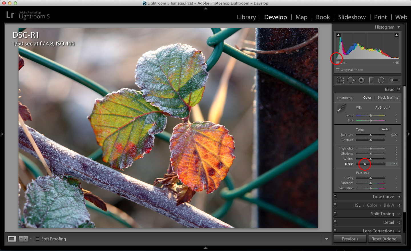 How to preview and control histogram clipping in Lightroom Life after