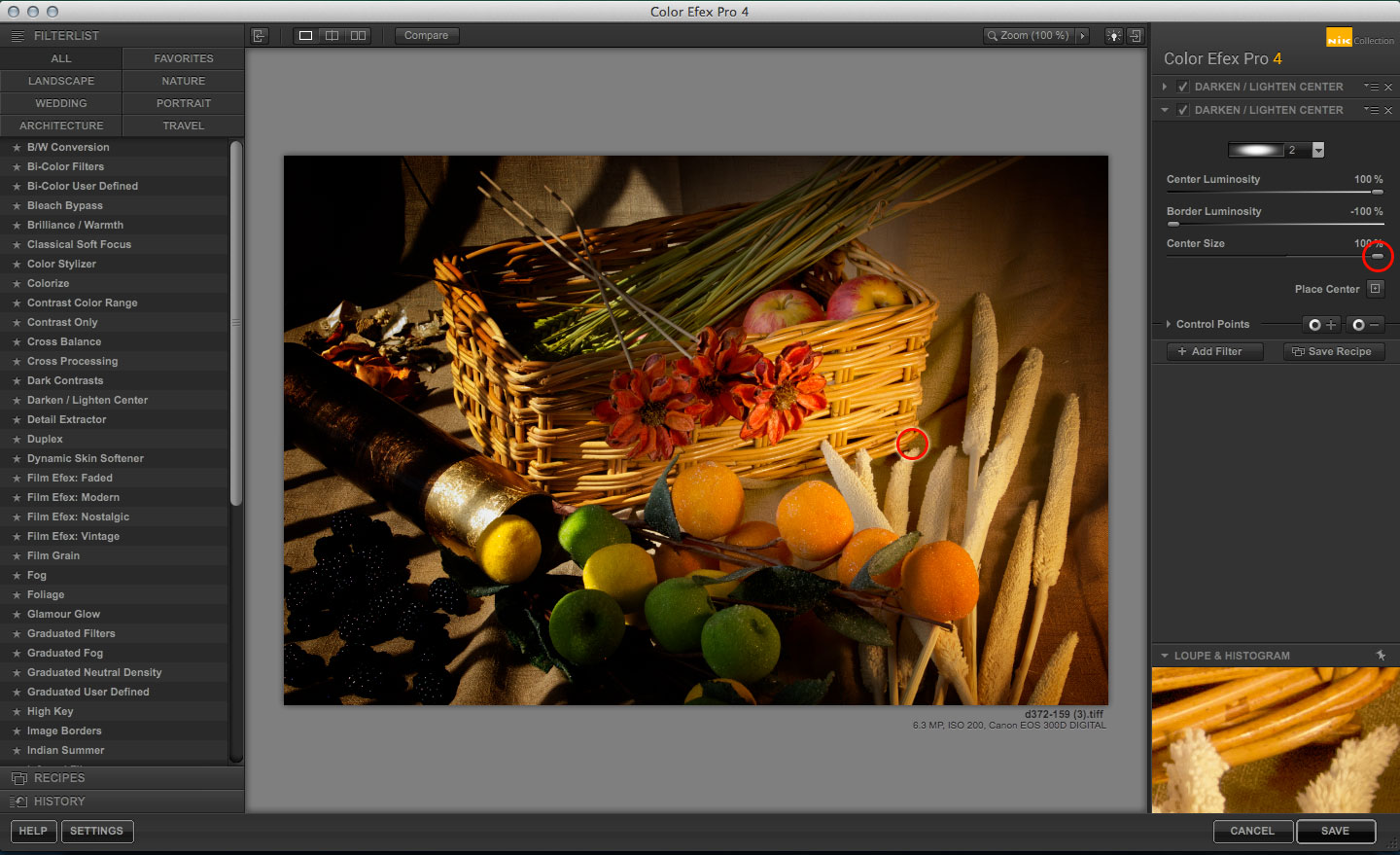 The Color Efex Pro Darken/Lighten Center filter Life after