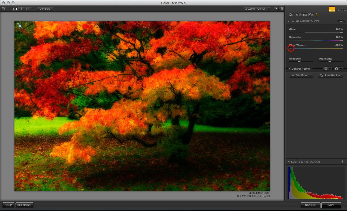 Try the Color Efex Pro Glamour Glow filter Life after