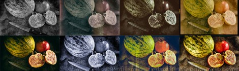 Free Analog Efex Pro presets (and how to install them)