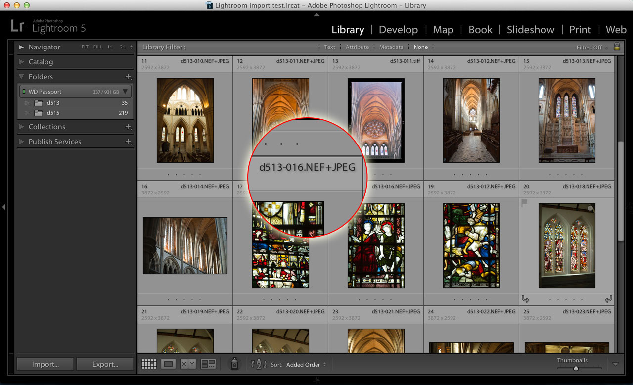 How to manage Lightroom RAW+JPEG pairs - Life after Photoshop