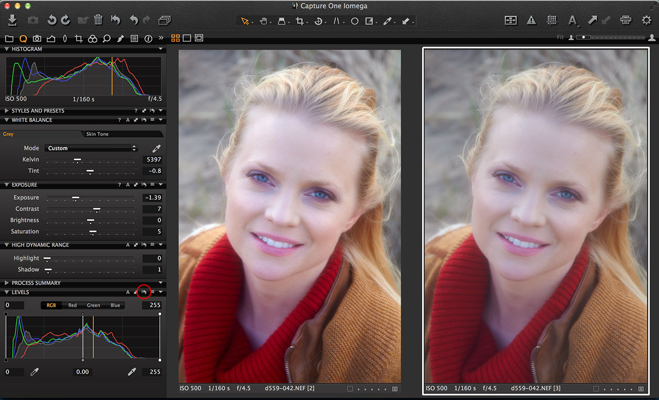 Discover the value of Capture One Auto Adjust Life after