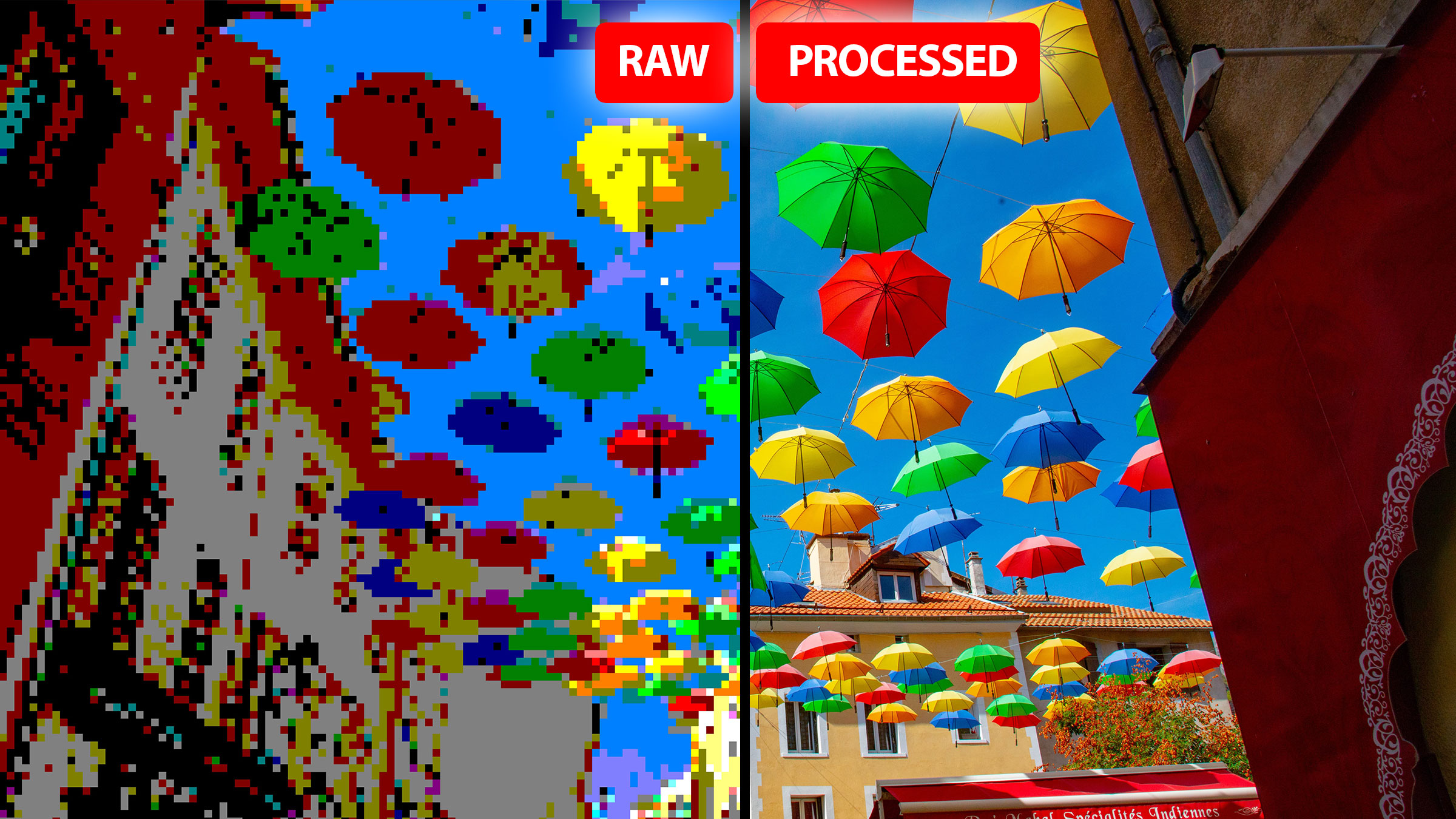 raw-files-explained-life-after-photoshop