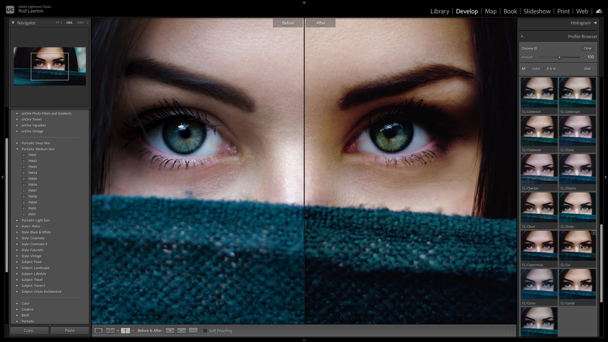 How to install Lightroom presets and profiles - Life after Photoshop